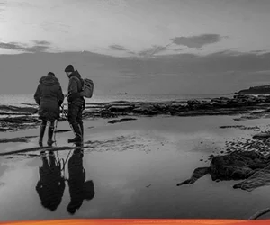 Essential Elements for a Successful eFront Implementation