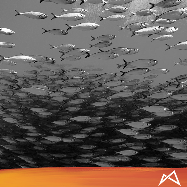 data-ready private credit implementation