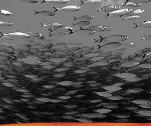 Are you Data-Ready for your Private Credit Implementation?